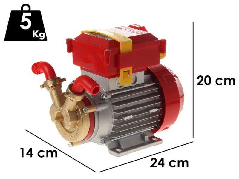 Rover 20 CE - Bomba el&eacute;ctrica de trasiego de bronce