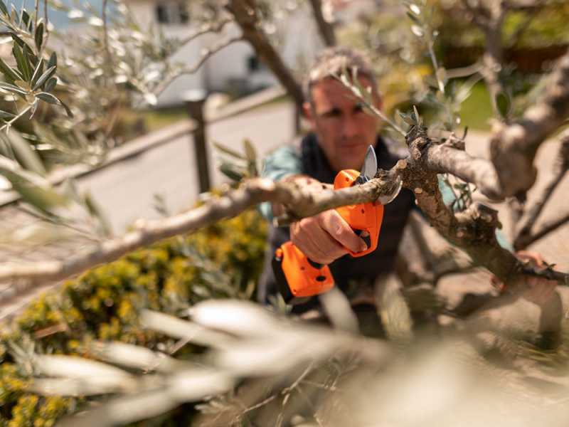 Tijeras de podar eléctricas profesionales inalámbricas alimentadas por  batería, podadora de ramas de árbol con 2 baterías recargables de litio de  2 Ah